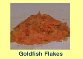 Goldfish Flakes Goldfish Flakes