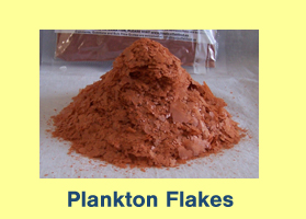 Breeders Delight Plankton Flakes Breeders Delight Plankton Flakes