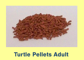 Turtle Pellets - Adult Turtle Pellets - Adult